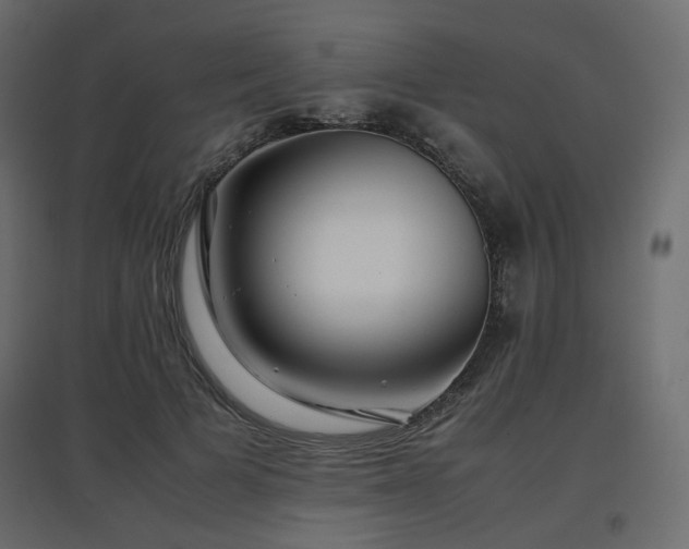 X0000097760697200803071255