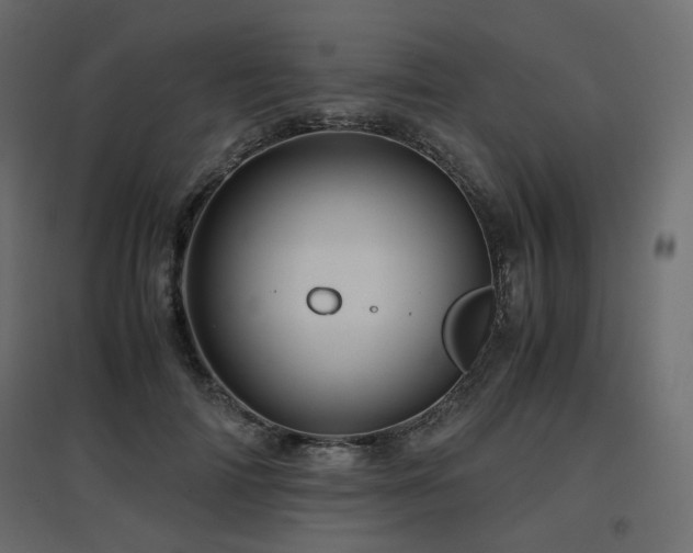 X0000097760698200803071255