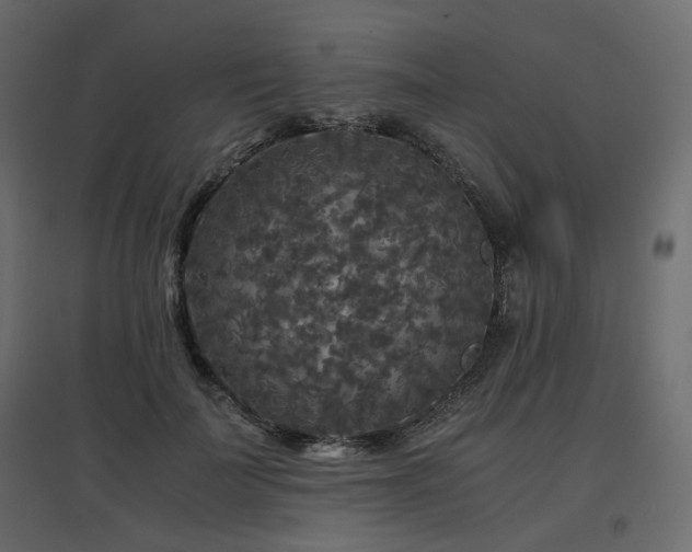 X0000097760699200803071255