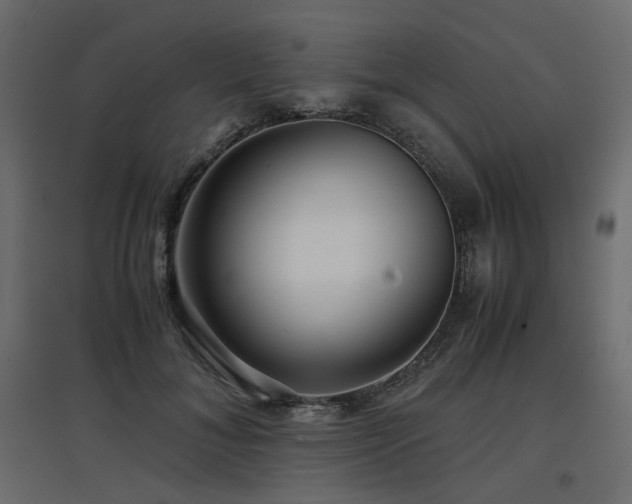 X0000097760700200803071255