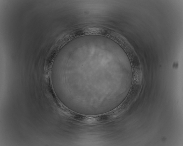 X0000097760701200803071255