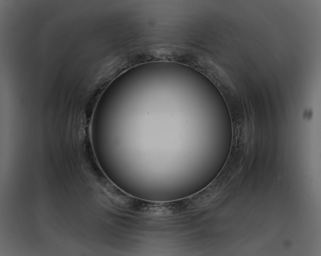 X0000097760702200803071255