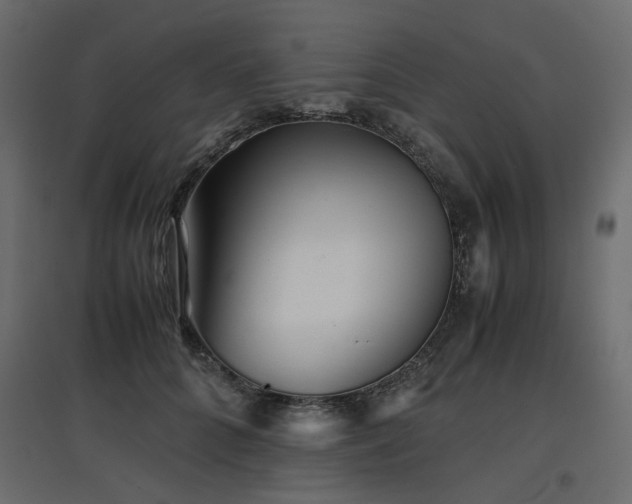 X0000097760704200803071255