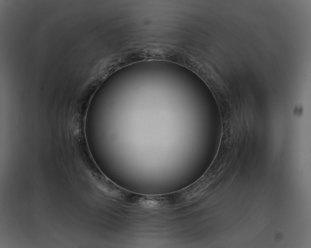 X0000097760706200803071255