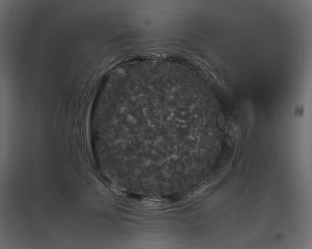 X0000097760707200803071255