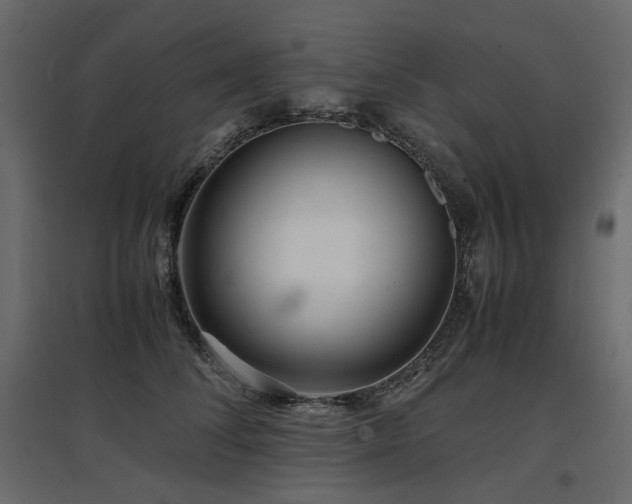 X0000097760708200803071255