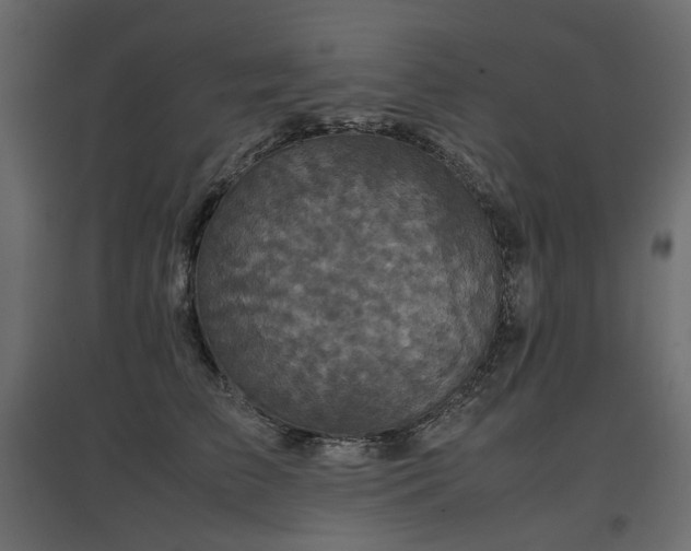 X0000097760709200803071255