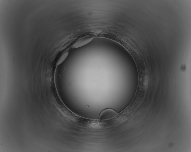 X0000097760710200803071255