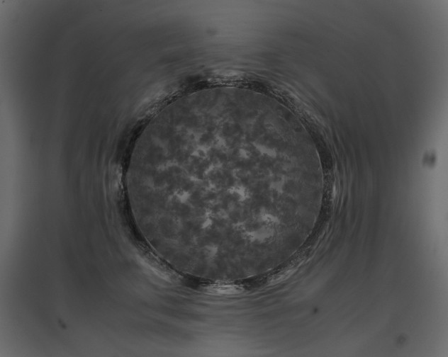 X0000097760711200803071255