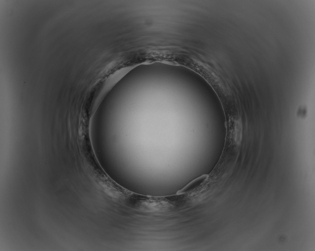 X0000097760712200803071255