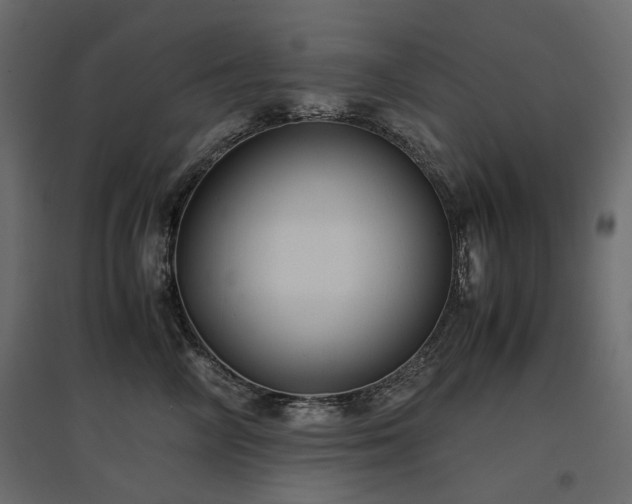 X0000097760714200803071255