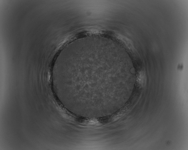 X0000097760715200803071255