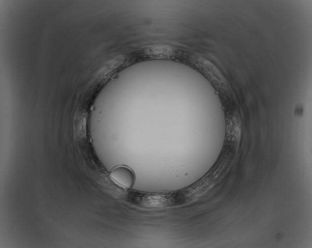 X0000097760717200803071255