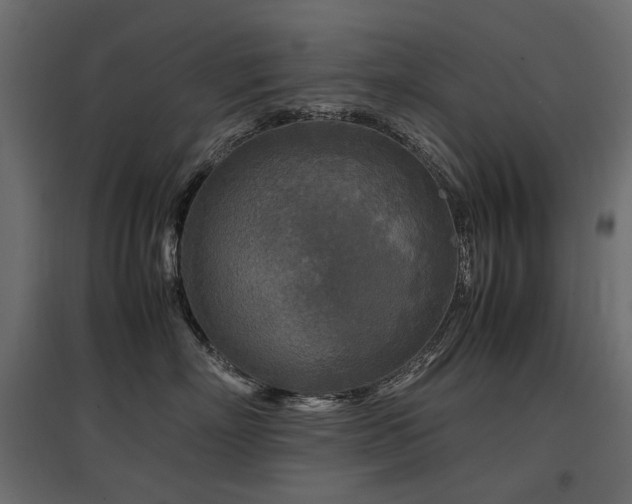 X0000097760718200803071255