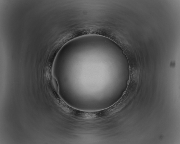 X0000097760719200803071255