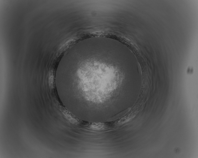 X0000097760720200803071255