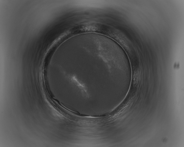 X0000097760722200803071254