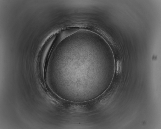 X0000097760723200803071254