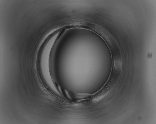 X0000097760724200803071254