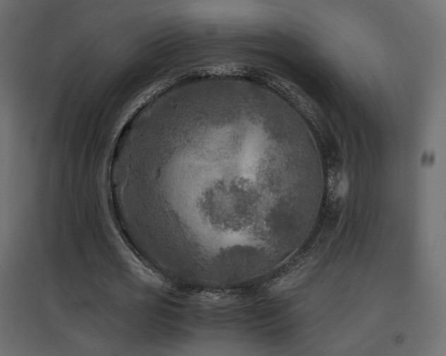 X0000097760725200803071254