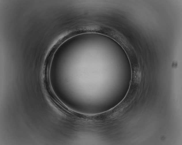 X0000097760726200803071254