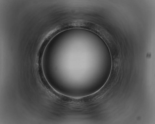 X0000097760727200803071254