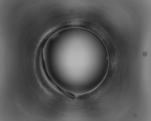 X0000097760728200803071254