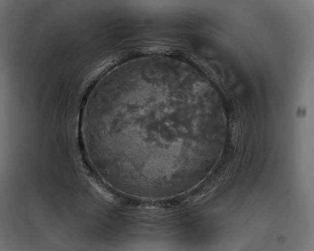 X0000097760729200803071254