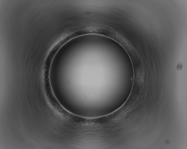 X0000097760730200803071254