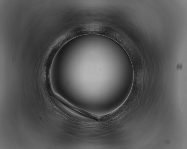 X0000097760731200803071254