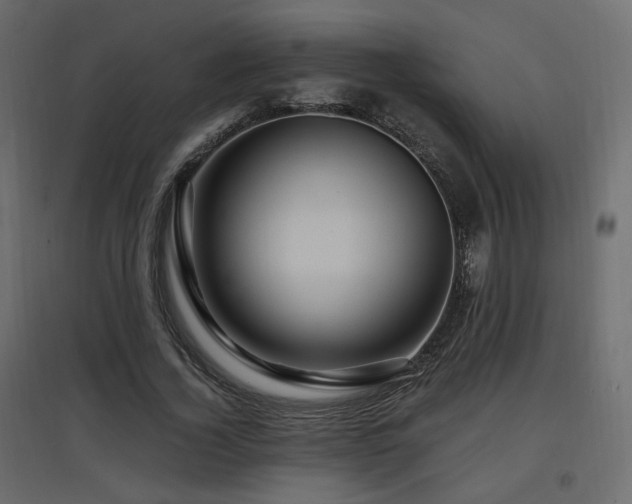 X0000097760732200803071254