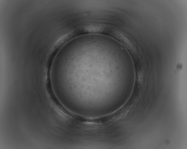 X0000097760733200803071254