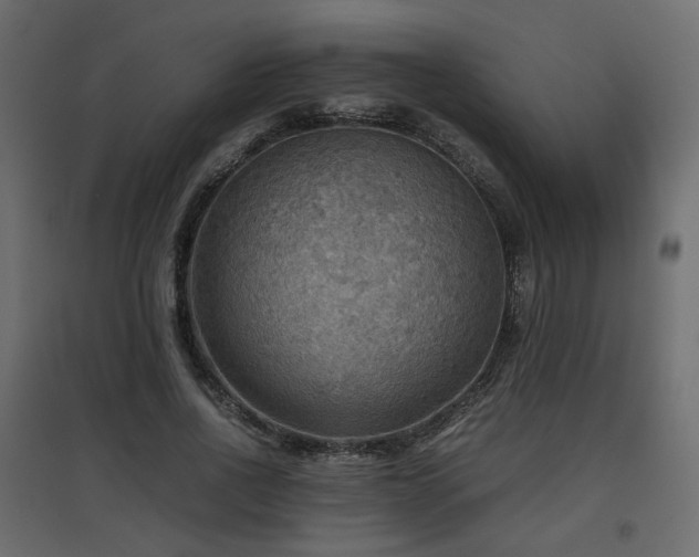 X0000097760734200803071254