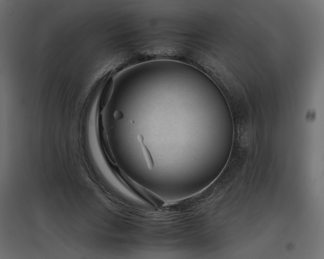 X0000097760735200803071254