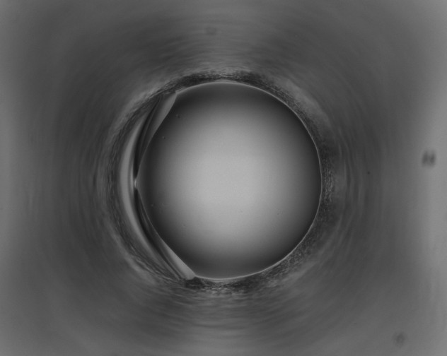 X0000097760736200803071254