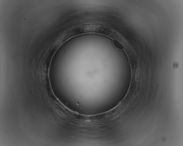 X0000097760737200803071254