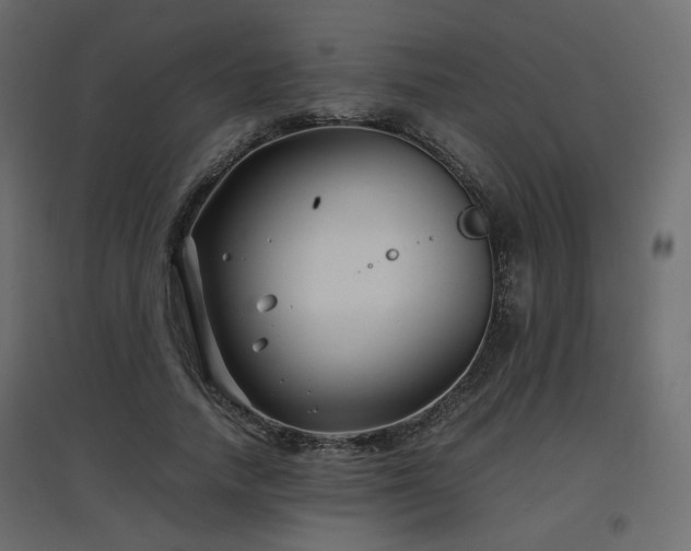 X0000097760738200803071254