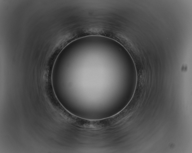 X0000097760739200803071254