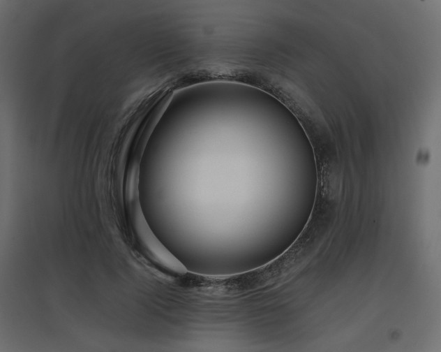 X0000097760740200803071254