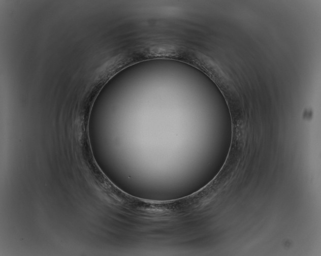 X0000097760741200803071254