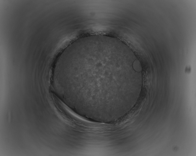 X0000097760742200803071254