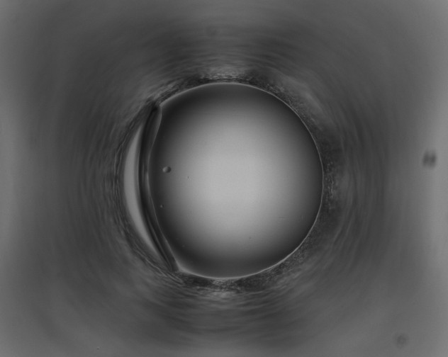 X0000097760743200803071254