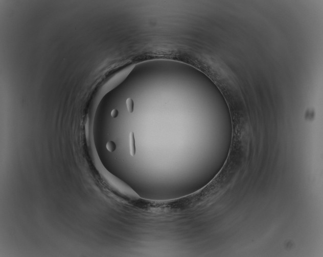 X0000097760744200803071254