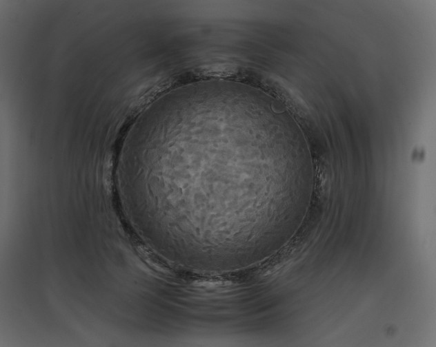 X0000097760745200803071254