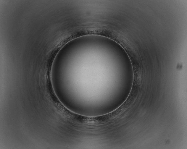 X0000097760746200803071254