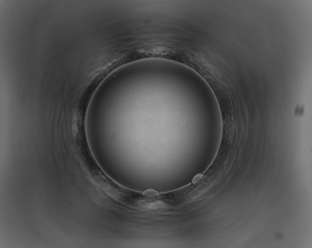 X0000097760747200803071254