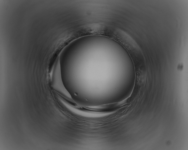 X0000097760748200803071254