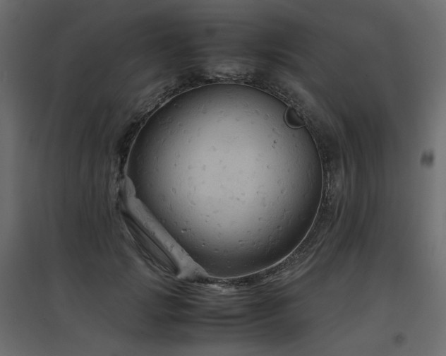 X0000097760749200803071254