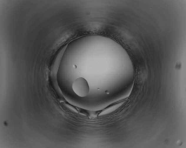 X0000097760750200803071254