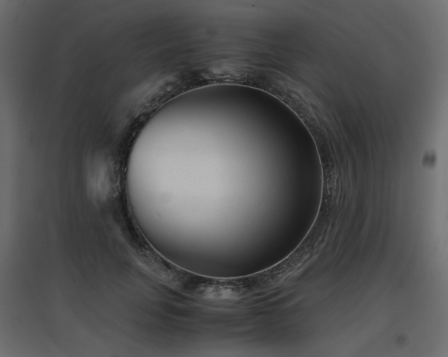 X0000097760751200803071254